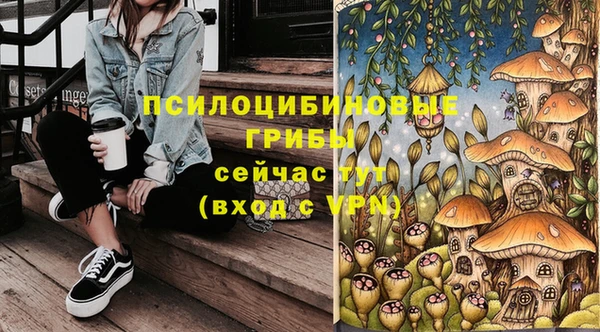 гидра Алзамай
