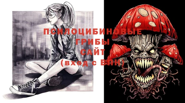 не бодяженный Алексин