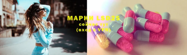 гидра Алзамай